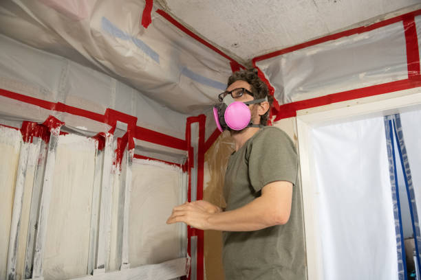 Best Basement Mold Removal  in Oakwood, PA