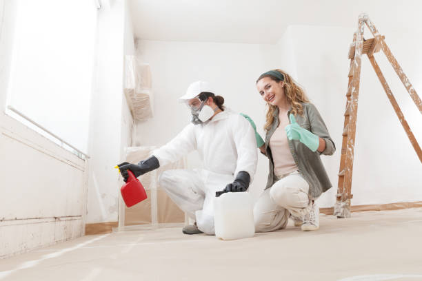 Best Emergency Mold Remediation  in Oakwood, PA