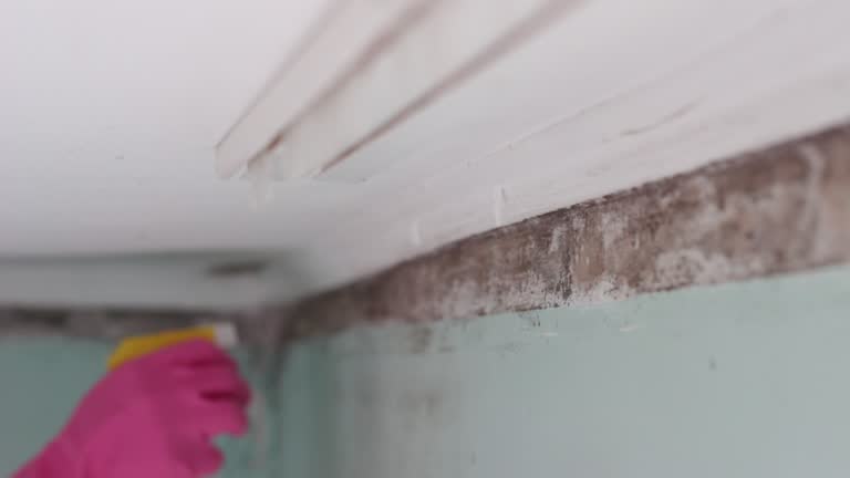 Asbestos and Lead Testing During Mold Inspection